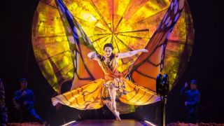 Cirque du Soleil: Luzia