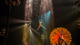 Cirque du Soleil: Luzia