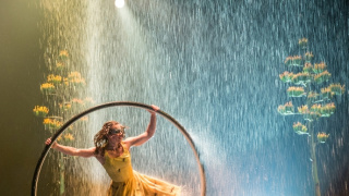 Cirque du Soleil: Luzia