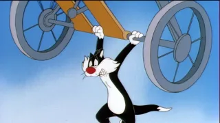 Szilveszter és Csőrike kalandjai (9)