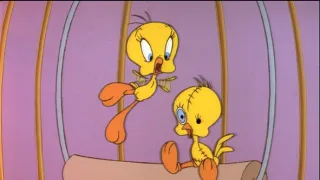 Szilveszter és Csőrike kalandjai (9)