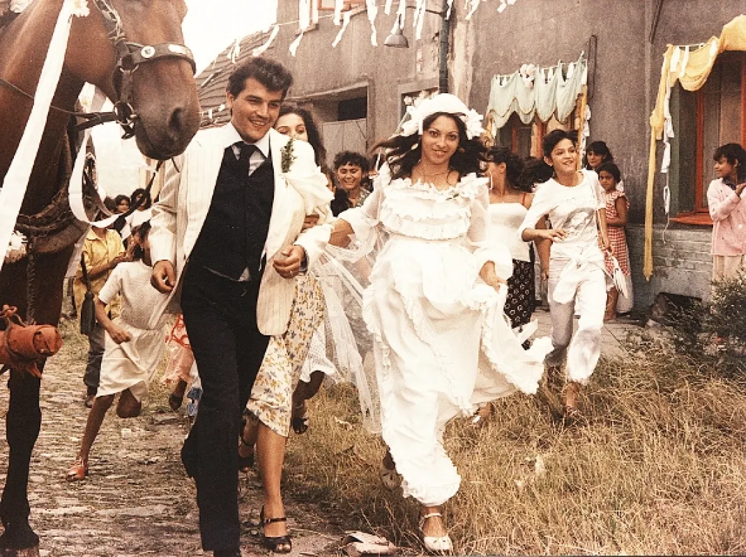 Radikální řez, 1983 - fotogaléria