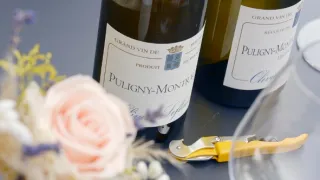 Milovníci vína (8/12)