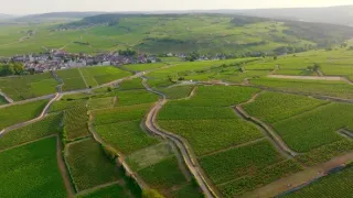 Milovníci vína (8/12)