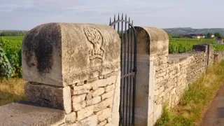 Milovníci vína (8/12)