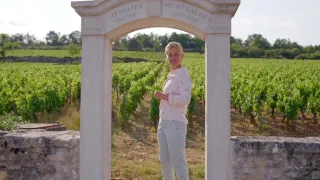 Milovníci vína (8/12)