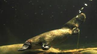 Zázračná planéta: Krajina pohľadom z vesmíru (3/4)