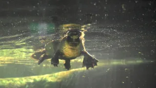 Zázračná planéta: Krajina pohľadom z vesmíru (3/4)