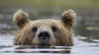 Zázračná planéta: Krajina pohľadom z vesmíru (3/4)