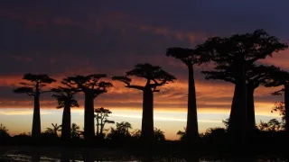 Madagaskar, osobně a zblízka