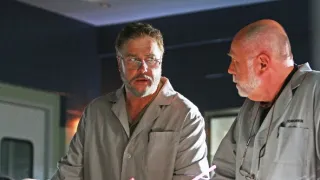 CSI: A helyszínelők IX (14)