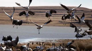 Zázračná planéta: Klenoty čínskej prírody (1/3)