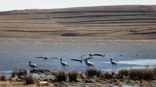 Zázračná planéta: Klenoty čínskej prírody (1/3)