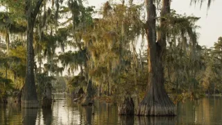 Zázračná planéta: Veľké rieky sveta