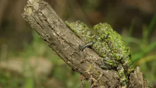 Zázračná planéta: Veľké rieky sveta