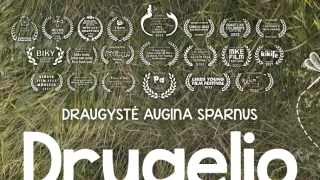 Motýlí srdce