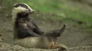 Zvieratá so zlou povesťou (3)