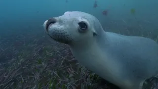 Utajené ostrovy Austrálie (1)