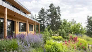 Ferdinandove záhrady III (8/8)