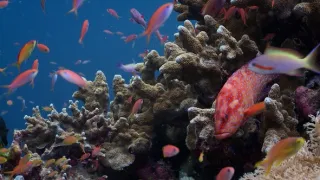 Nejúžasnější díla přírody