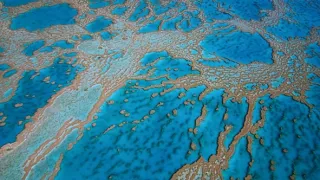 Nejúžasnější díla přírody