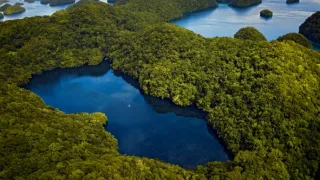 Nejúžasnější díla přírody