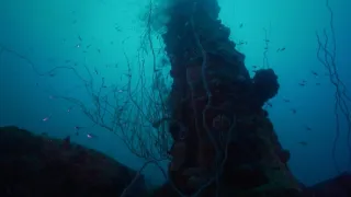 Nejúžasnější díla přírody