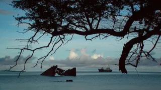 Nejúžasnější díla přírody