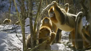 Divoká říše (1/3)