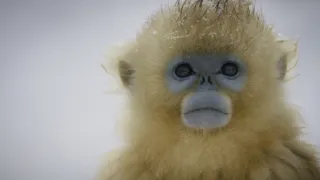 Divoká říše (1/3)