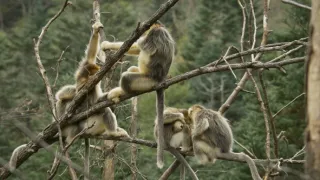 Divoká říše (1/3)