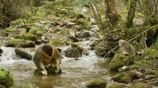 Divoká říše (1/3)