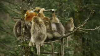 Divoká říše (1/3)