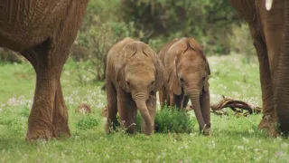Zázračná planéta: Krajina pohľadom z vesmíru (1/4)