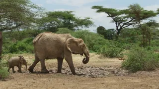 Zázračná planéta: Krajina pohľadom z vesmíru (1/4)