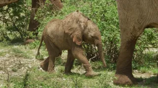 Zázračná planéta: Krajina pohľadom z vesmíru (1/4)
