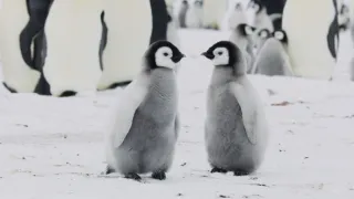 Zázračná planéta: Krajina pohľadom z vesmíru (1/4)