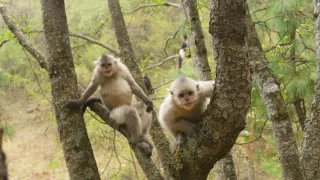 Zázračná planéta: Krajina pohľadom z vesmíru (1/4)