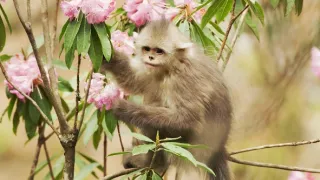 Zázračná planéta: Krajina pohľadom z vesmíru (1/4)