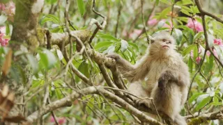 Zázračná planéta: Krajina pohľadom z vesmíru (1/4)