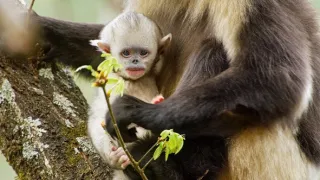 Zázračná planéta: Krajina pohľadom z vesmíru (1/4)