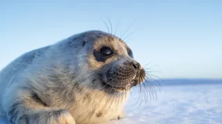 Zázračná planéta: Krajina pohľadom z vesmíru (1/4)