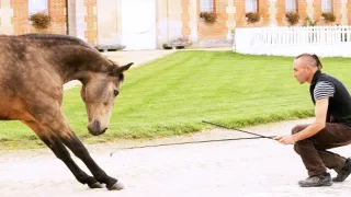 Normandie, země hojnosti