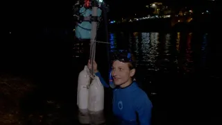 Zvuky přírody (1/3)