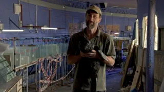 Zvuky přírody (1/3)