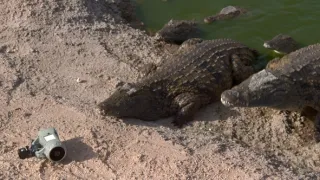 Zvuky přírody (1/3)