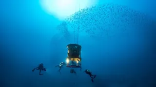 Hlubiny Středozemního moře