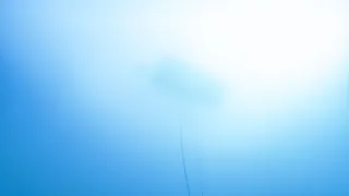 Hlubiny Středozemního moře