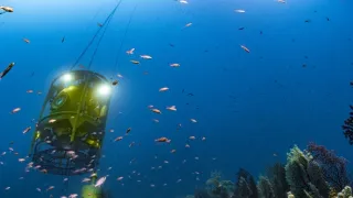 Hlubiny Středozemního moře