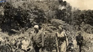 Alžběta II.: Portrét královny